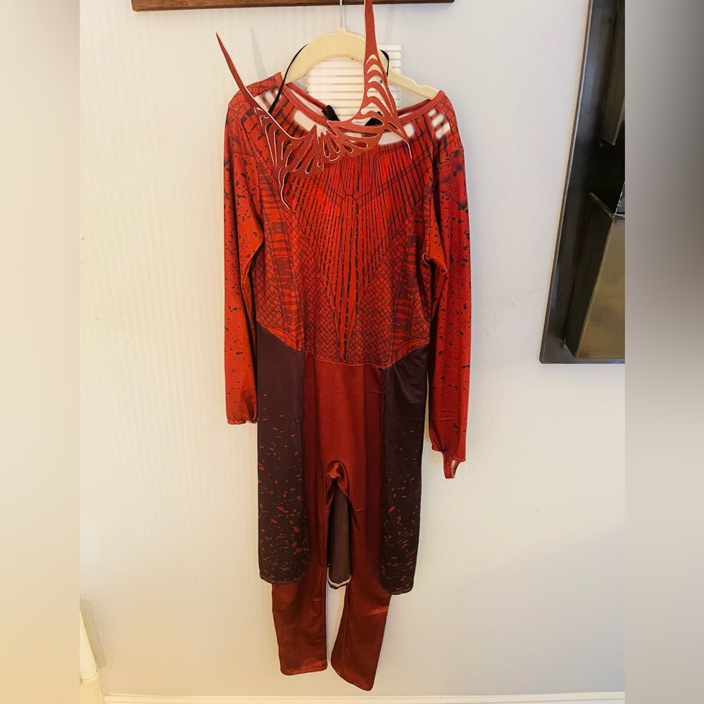 Scarlet Witch Costume